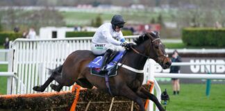 Constitution Hill will give the option to the Punchestown Champion

