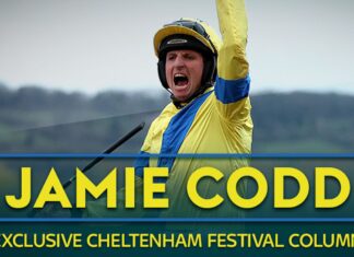 Jamie Codd Cheltenham Festival blog