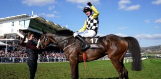 The Nice Guy and Sean O'Keeffe celebrate winning the Albert Bartlett Novices' Hurdle during day four of the Cheltenham Festival at Cheltenham Racecourse. Picture date: Friday March 18, 2023.