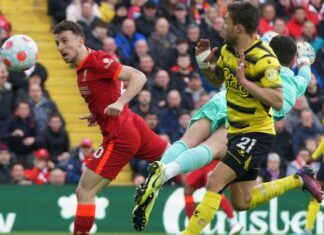 Diogo Jota leads Liverpool ahead (AP)